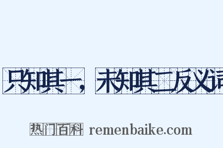 只知其一，未知其二反义词是什么意思的图片